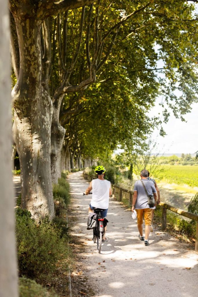 Balade Pont du Gard vélo à pied 
