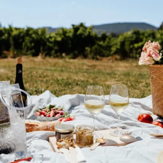 Vignoble et déjeuner champêtre