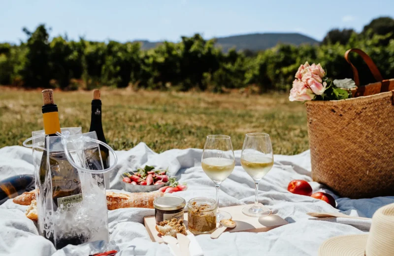 Vignoble et déjeuner champêtre