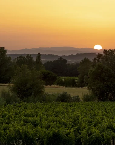 Voyage sensoriel entre vigne, terroir et patrimoine