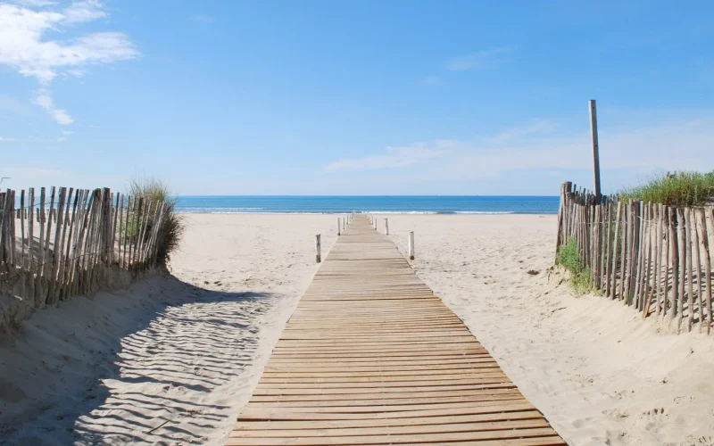 Une virée à la plage