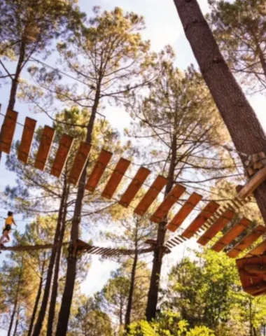 Air de Nature : l’accrobranche au cœur d’un engagement durable