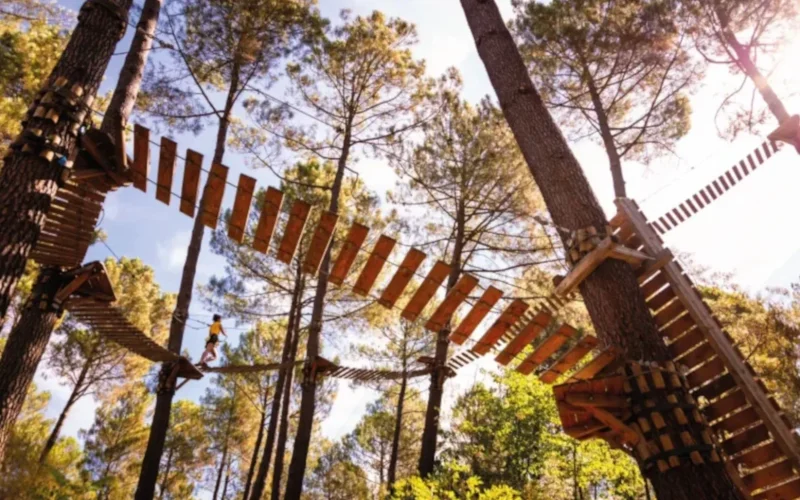 Air de Nature : l’accrobranche au cœur d’un engagement durable